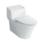 Bồn Cầu Nắp Rửa Cơ INAX AC-1017R/CW-S32VN